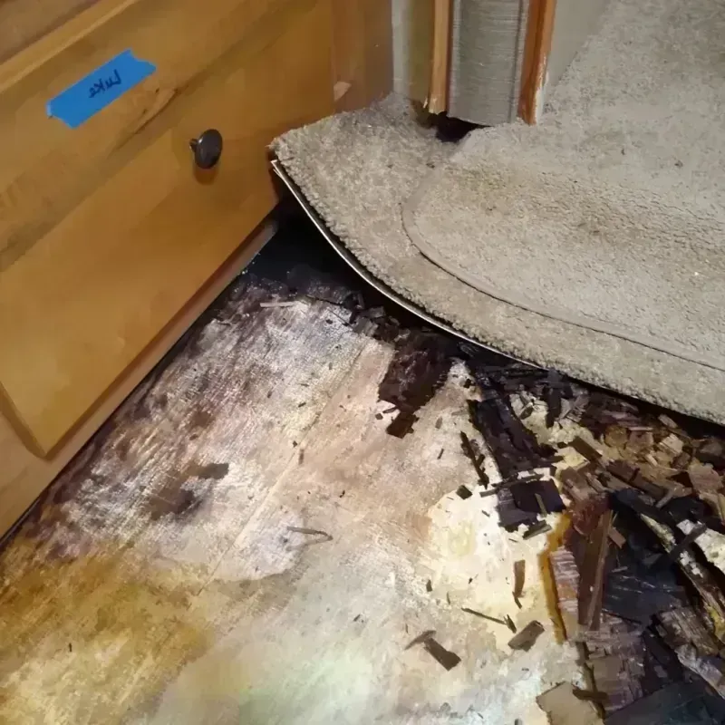 Best Wood Floor Water Damage Service in Moss Bluff, LA